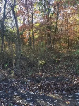 Wooded Lots Near Sugar Valley Lakes