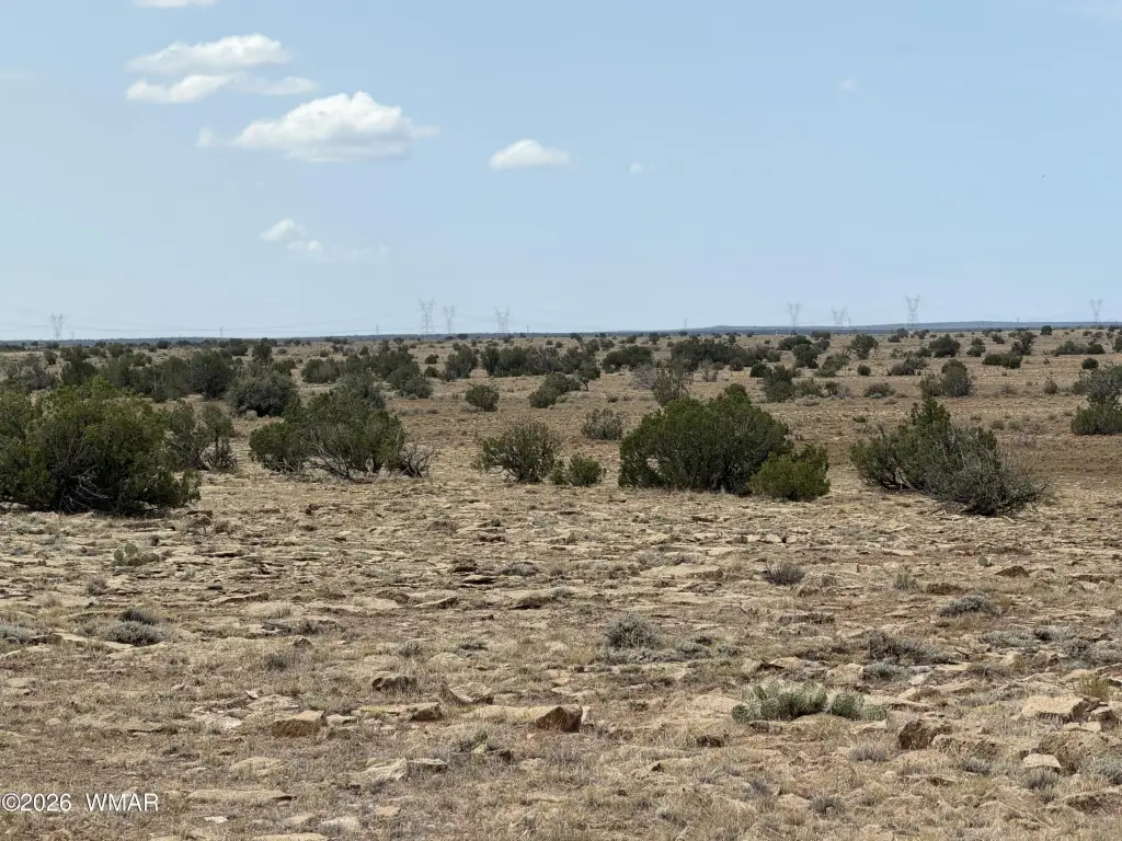 Picture 27