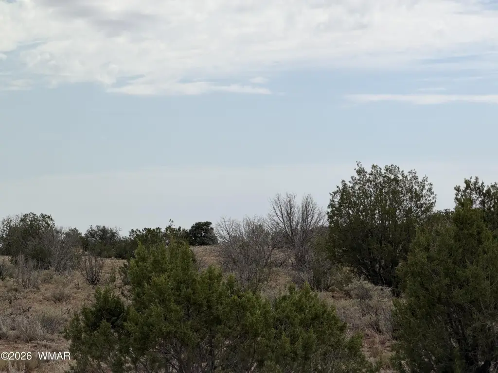 Picture 14