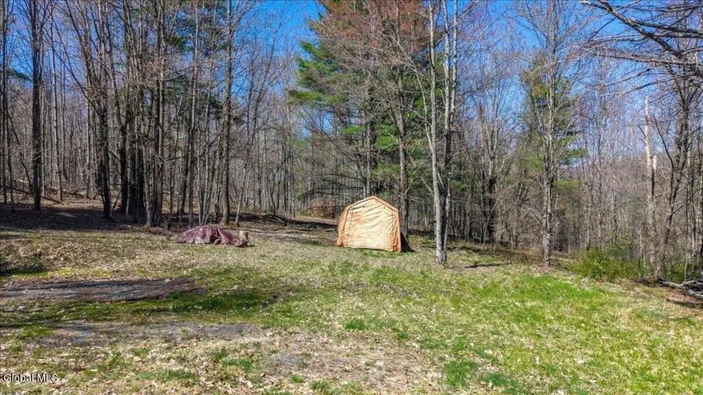 Picture 5