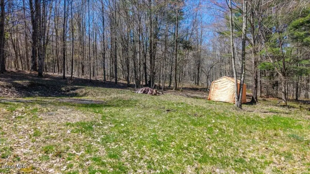 Picture 6