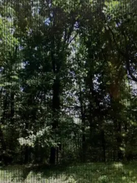 Secluded Roanoke Land for Sale