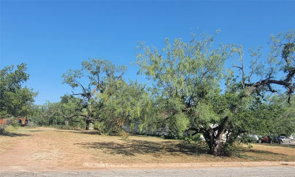Picture 25