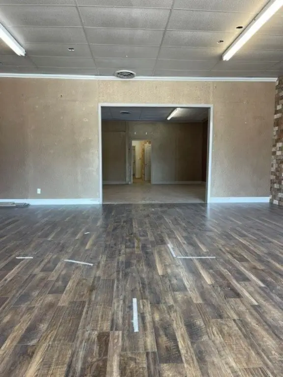 Picture 4