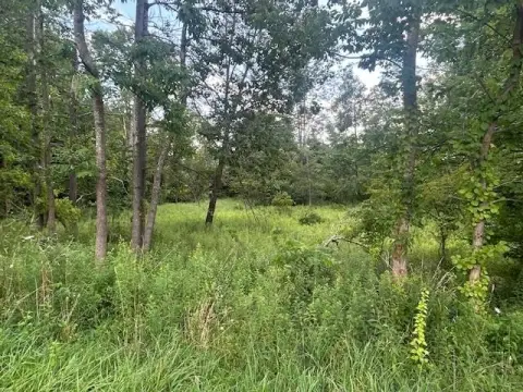 Serene Wooded Land Parcel