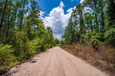 Residential Land in Palatka, FL