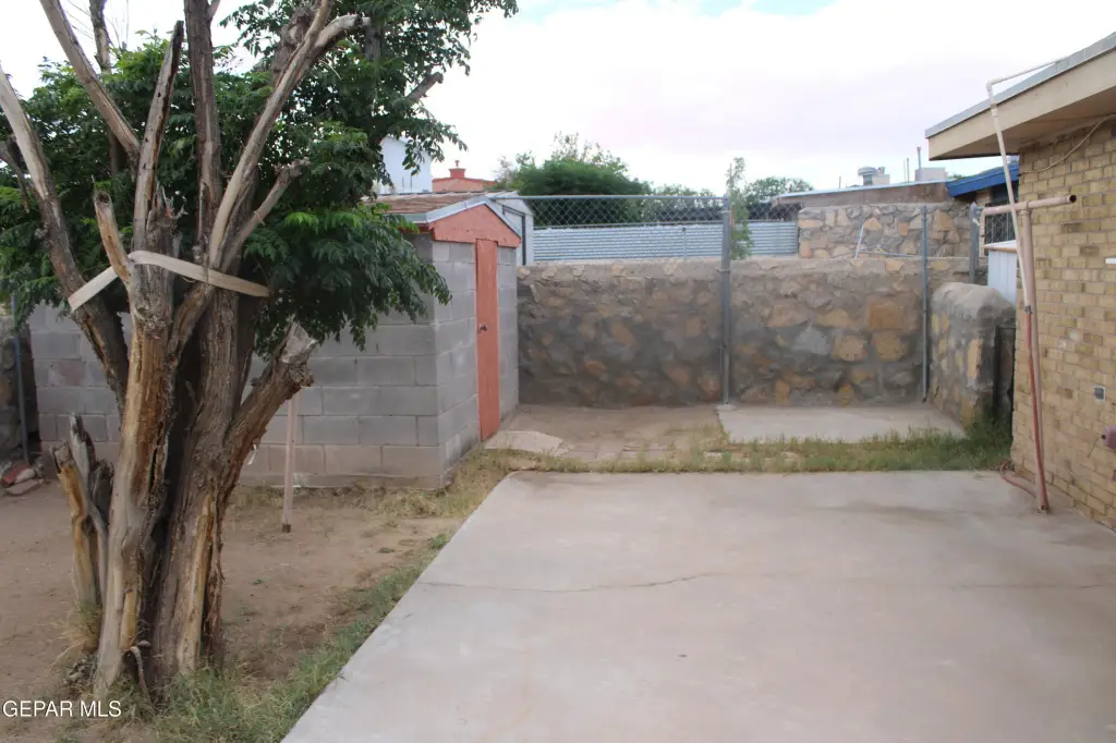 Picture 19