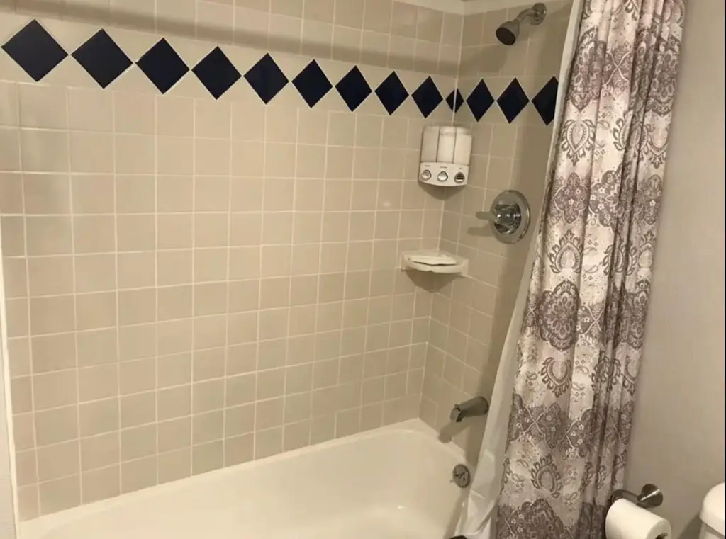 Picture 21
