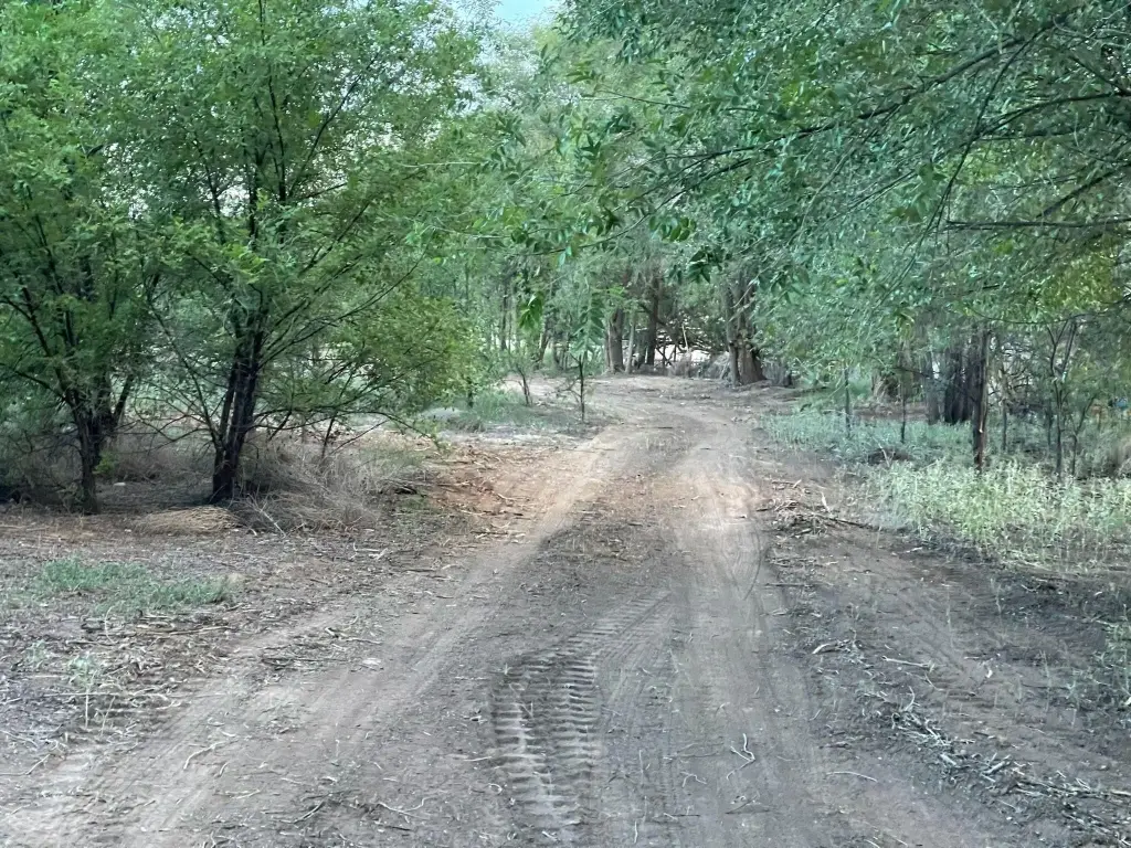 Picture 5
