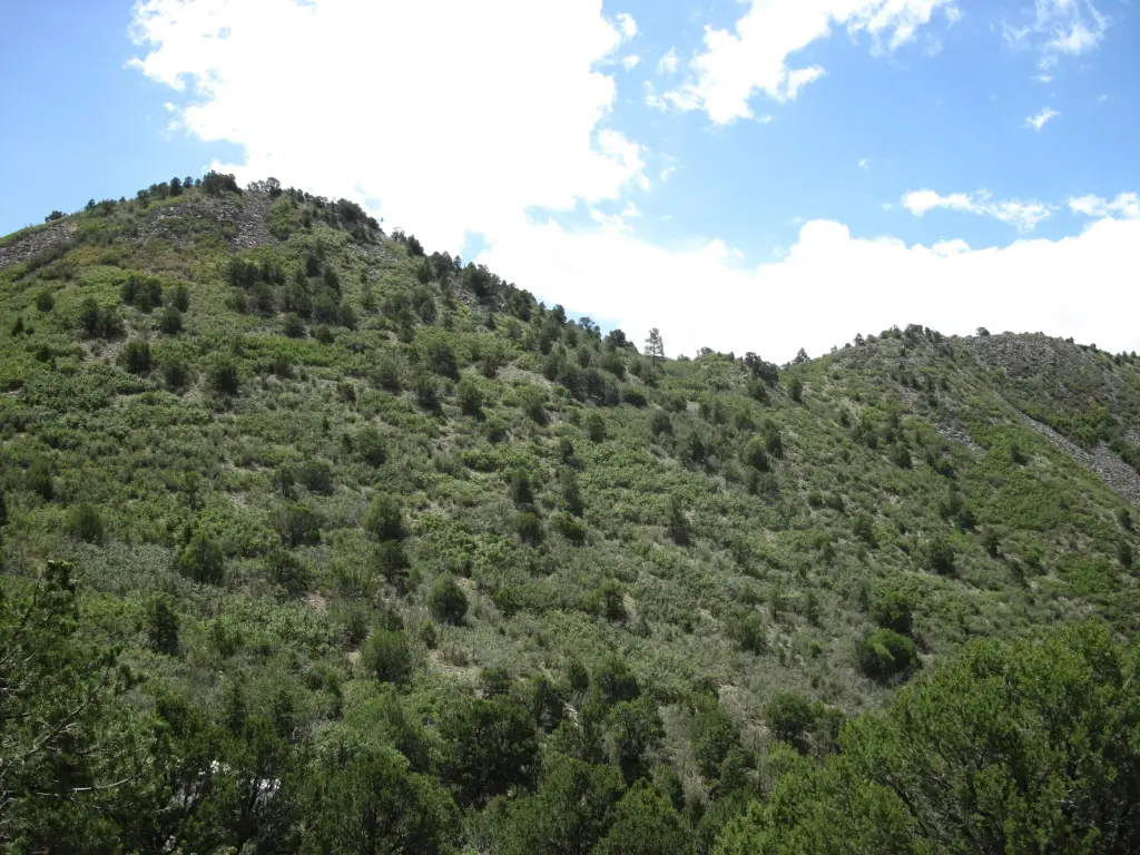 Picture 21