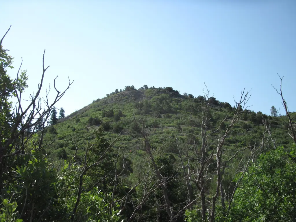 Picture 2