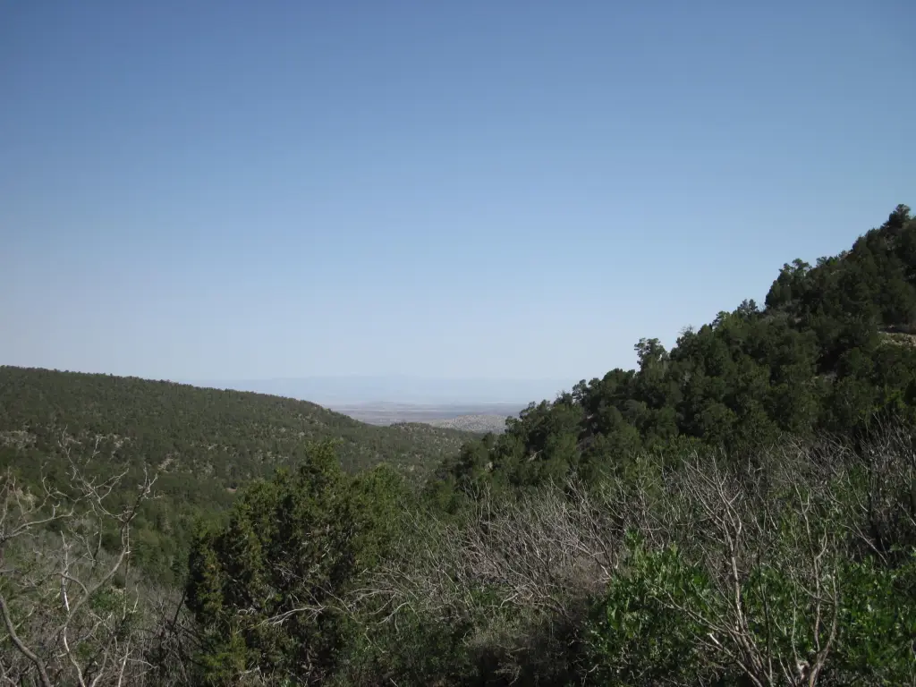 Picture 6