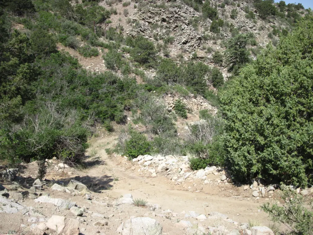 Picture 3
