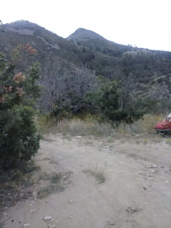 Picture 16