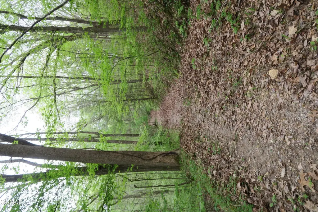 Picture 27