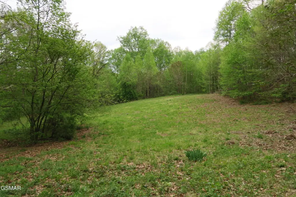 Picture 41