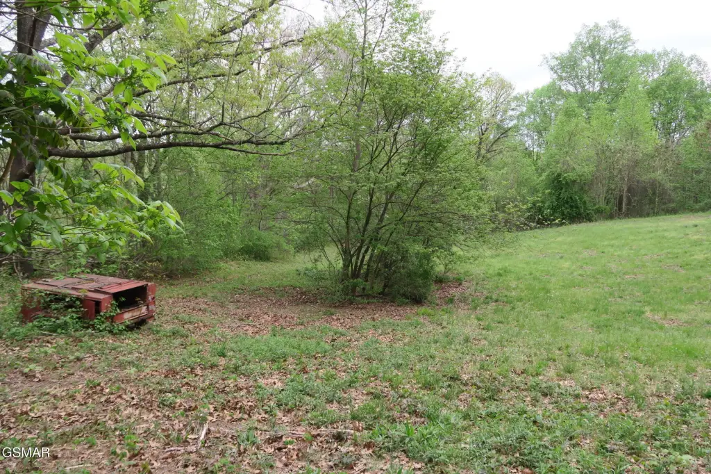 Picture 42