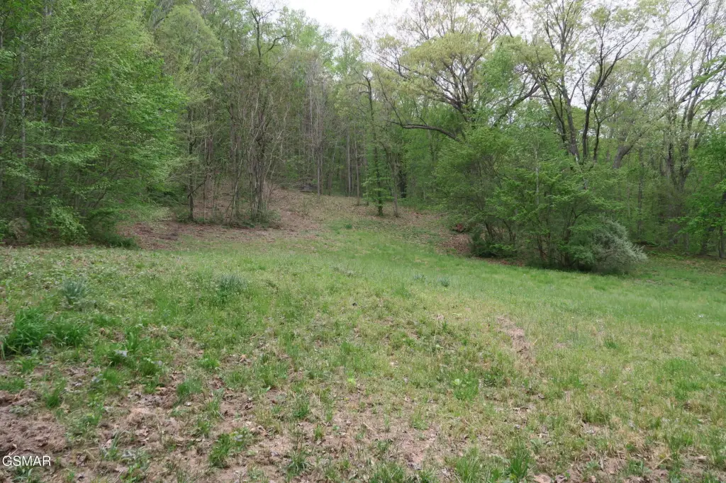 Picture 30