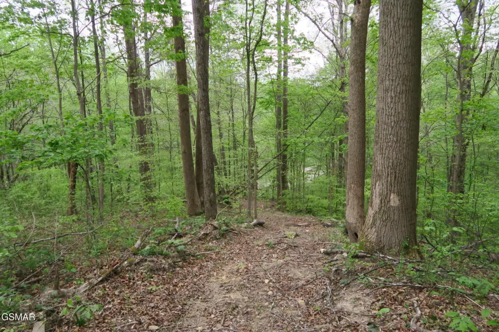 Picture 21