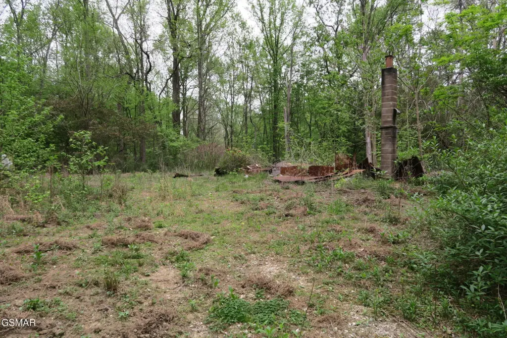 Picture 10