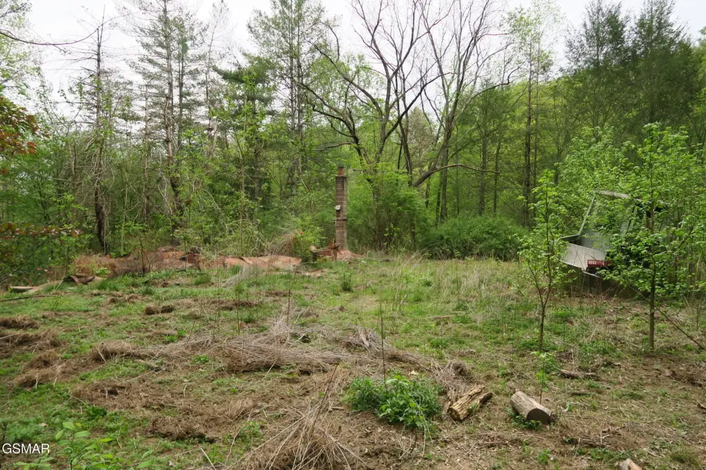 Picture 11