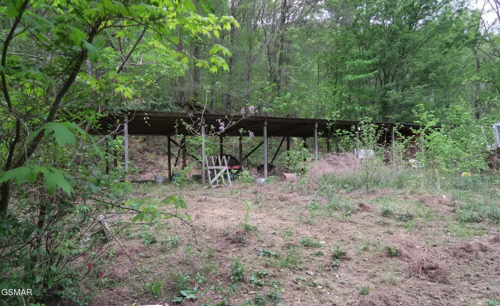 Picture 8