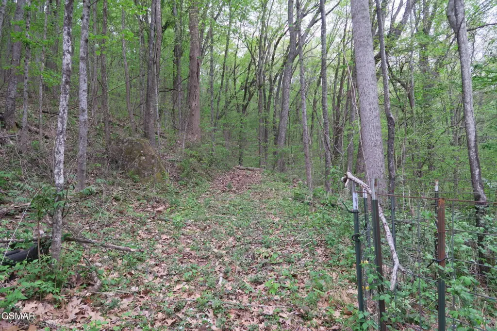 Picture 38