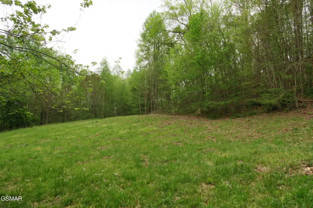 Picture 43