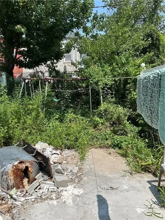 Picture 5