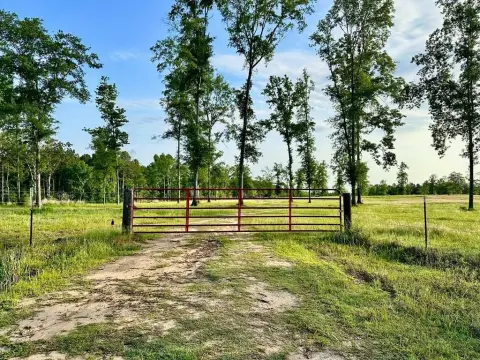 Cleared Land Near Lake Toledo