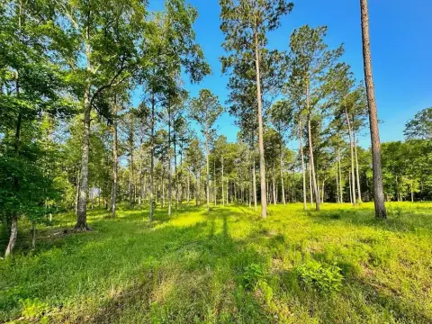 Unrestricted Acreage Near Lake Toledo