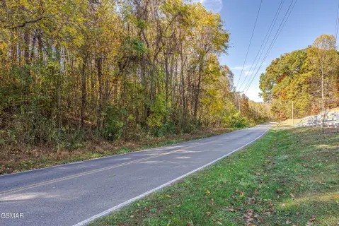 Residential Lot in Dandridge, TN