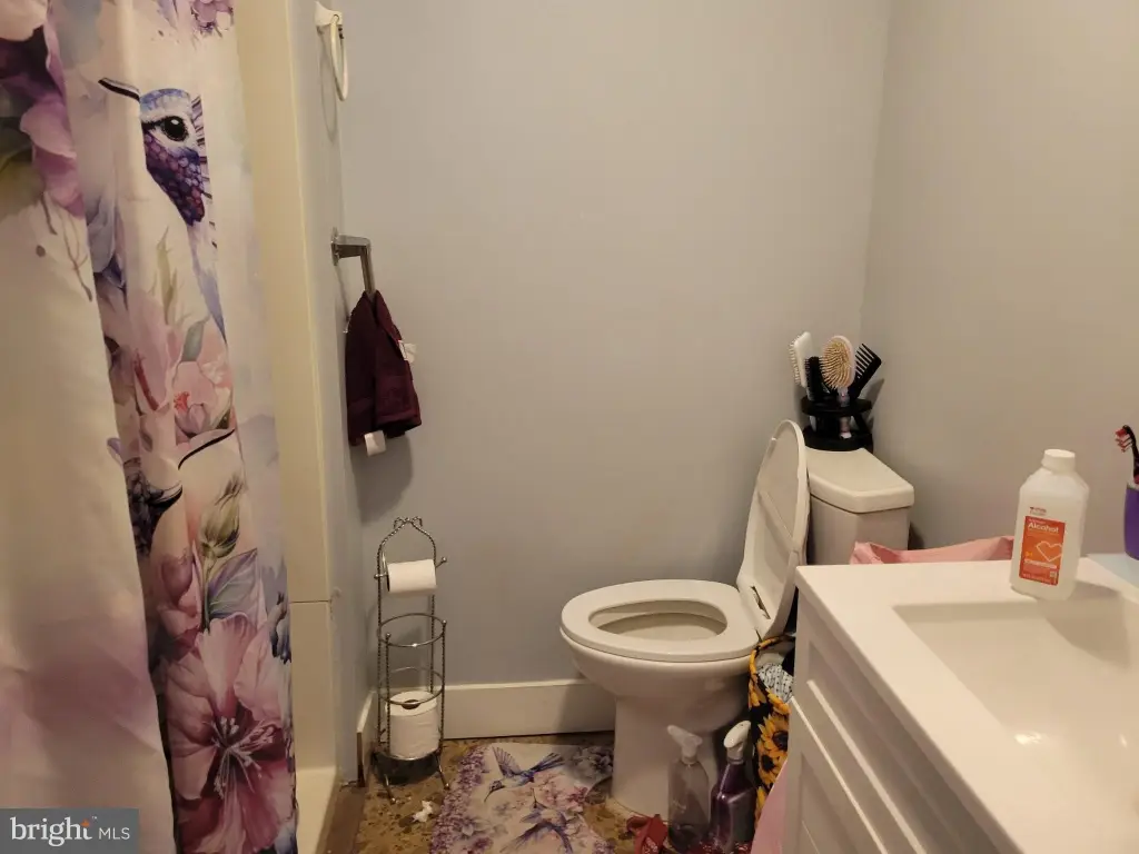 Picture 7