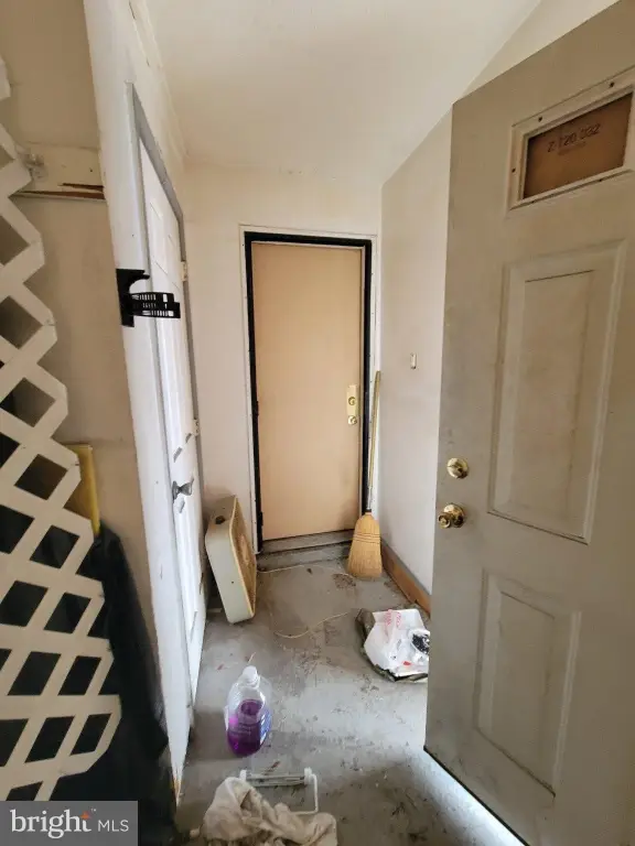 Picture 21