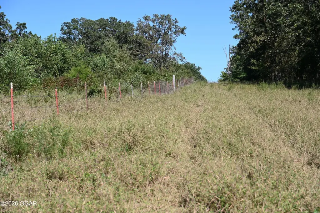 Picture 10