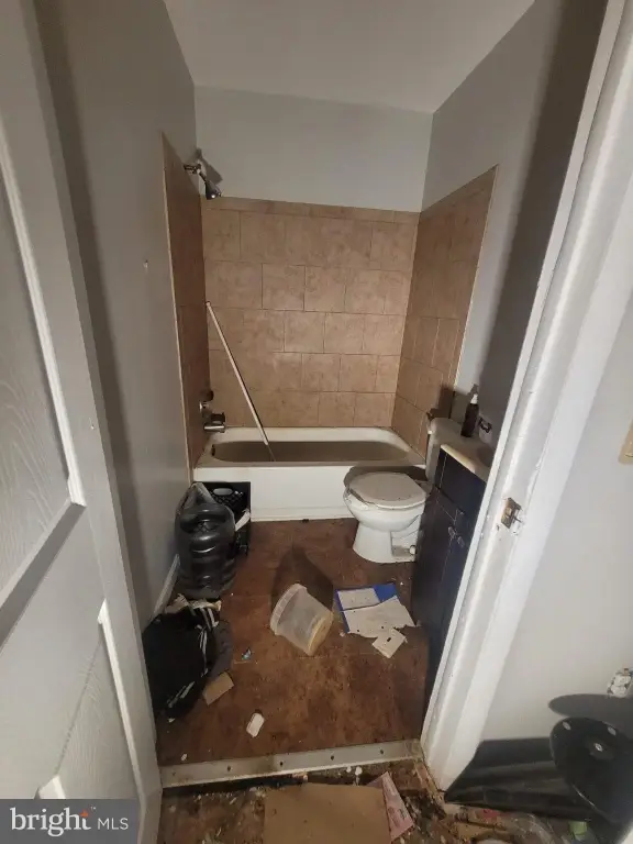 Picture 19