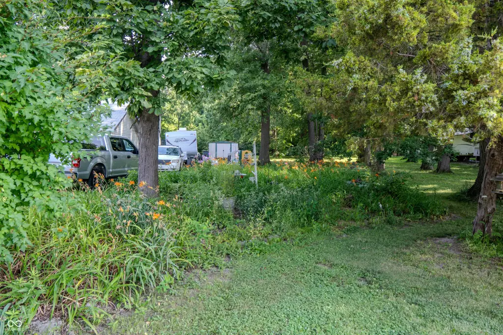 Picture 2
