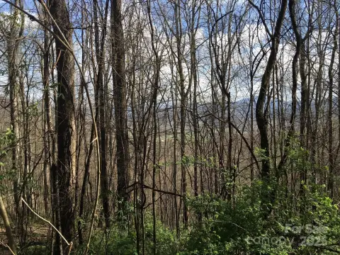 Waynesville Land with Mountain Views
