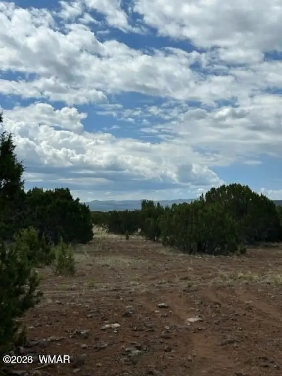 Picture 9