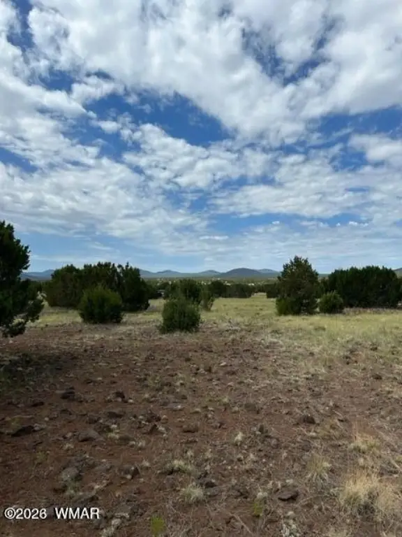 Picture 17