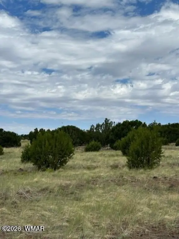 Picture 18