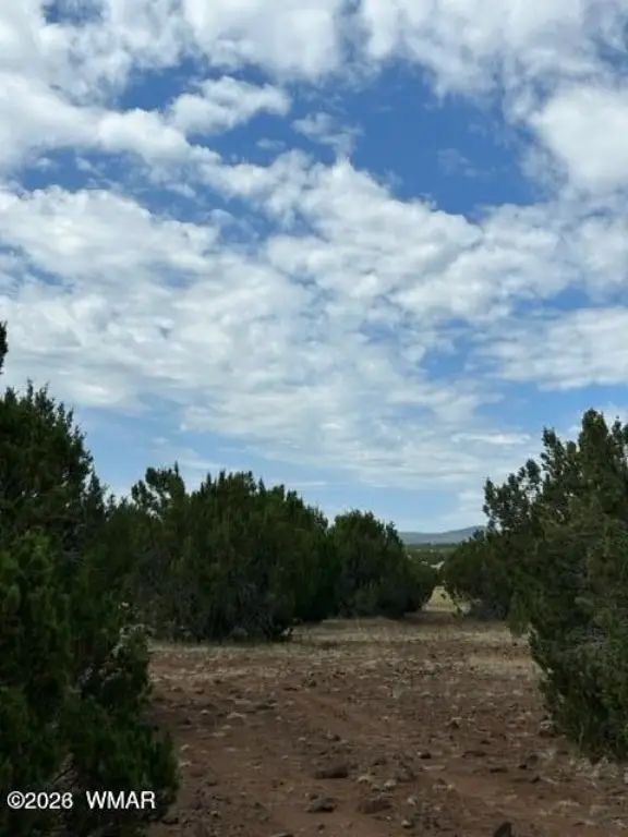 Picture 19