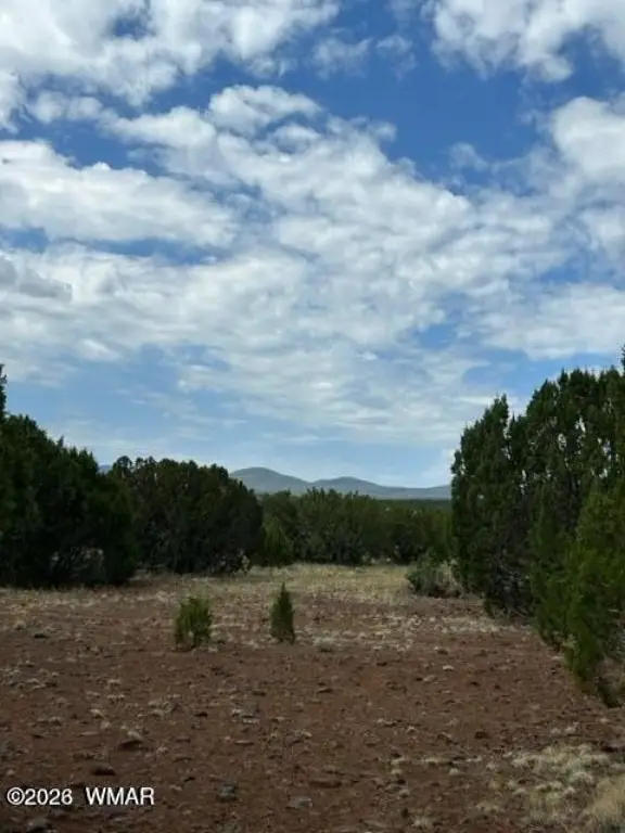 Picture 14