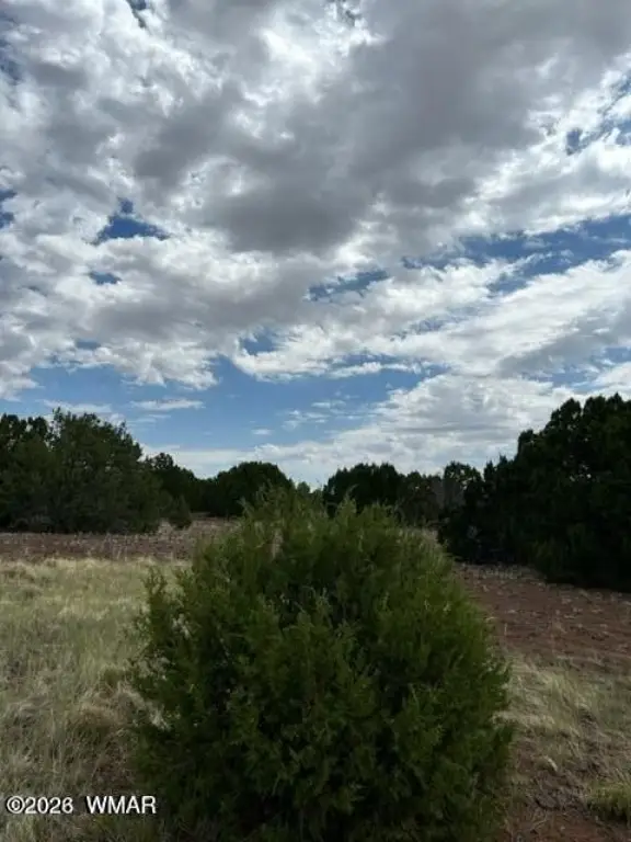 Picture 3