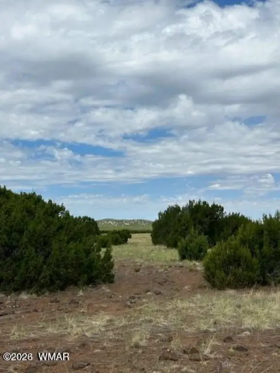 Picture 16
