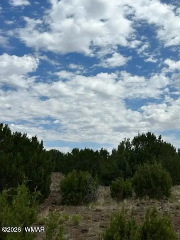 Picture 13