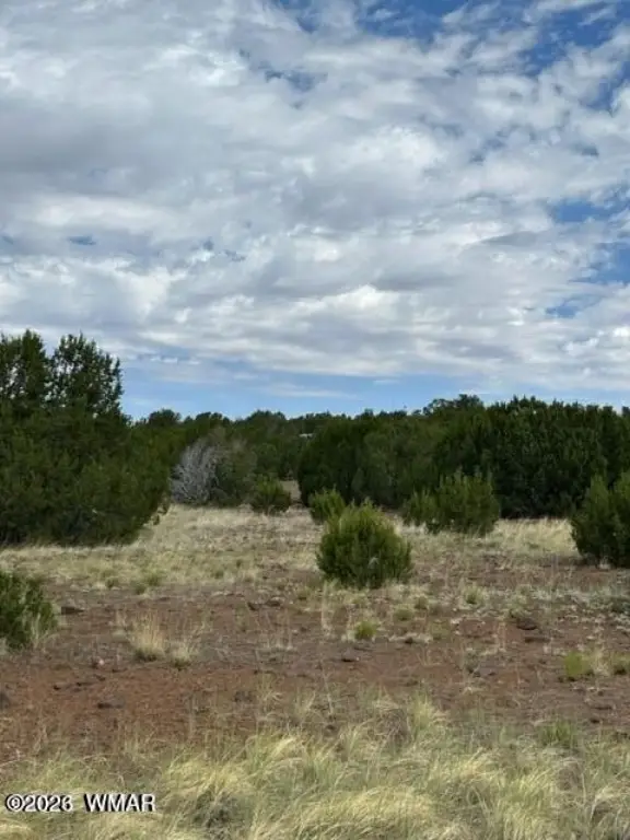 Picture 8