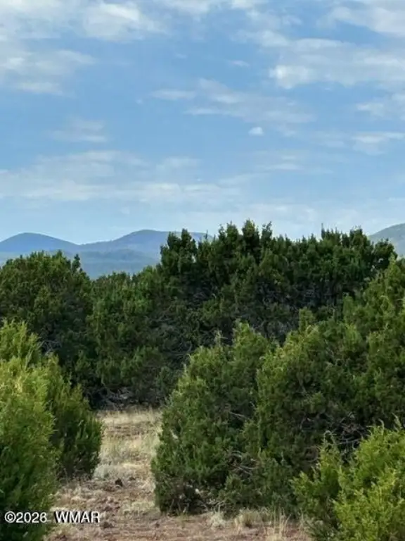 Picture 12