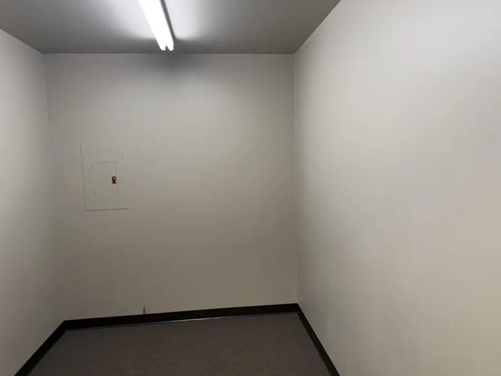 Picture 7