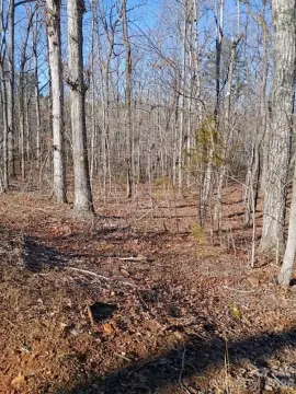 Wooded Land in Rutherfordton, NC